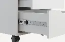 4798865.webp